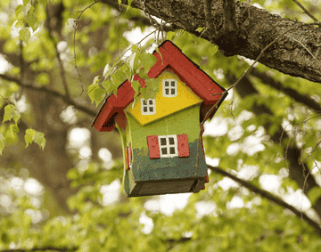 A photograph of a bird house in a tree