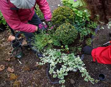 Outdoor workshop people preparing to plant flowers in the Whitworth grounds and park area.