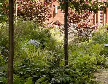 The Whitworth, Alex Bernstein Garden. Photo by Michael Pollard, May 2019.