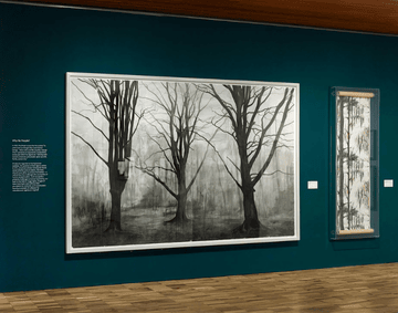 An installation shot of Performing Trees