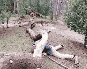 A person lying underneath a big tree branch