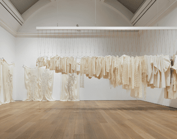 Install shot of Entangled and Woven