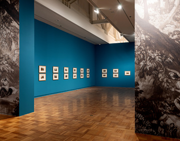 artworks on display in a gallery space